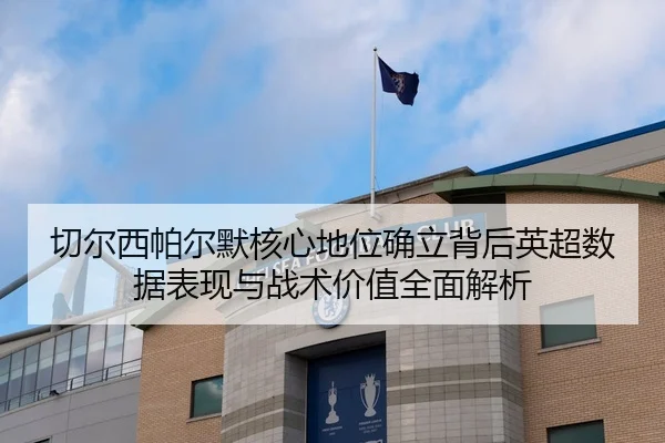 切尔西帕尔默核心地位确立背后英超数据表现与战术价值全面解析