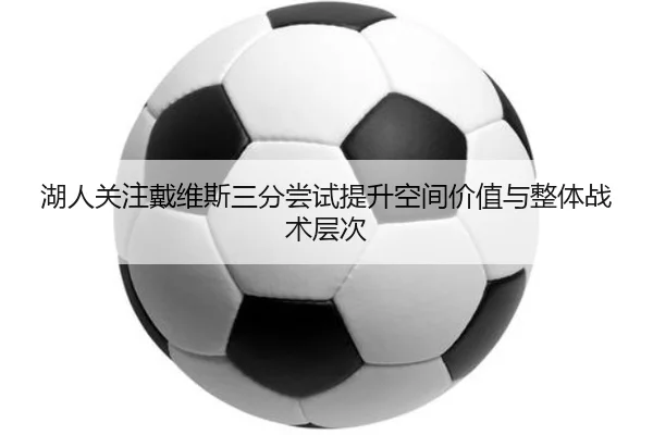 湖人关注戴维斯三分尝试提升空间价值与整体战术层次